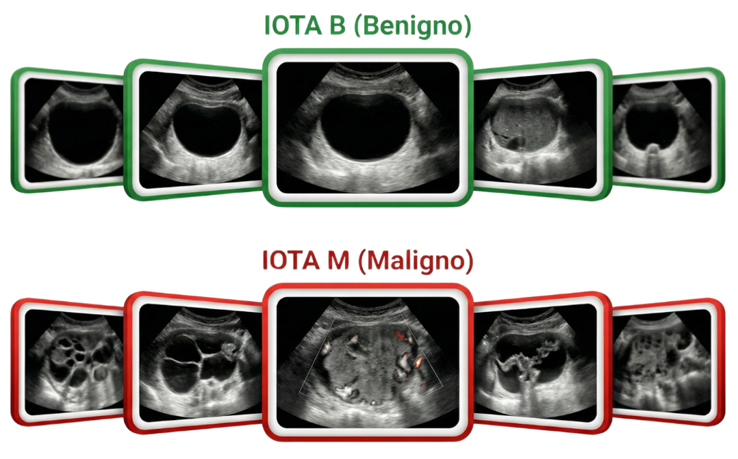 IOTA - Regras Simples