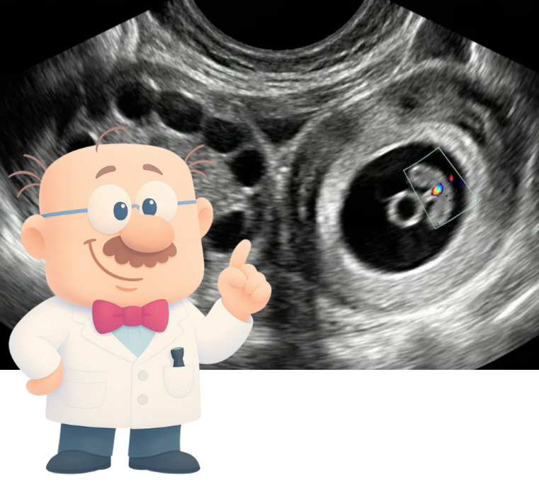 Mascote do app Gestação ectópica (US)